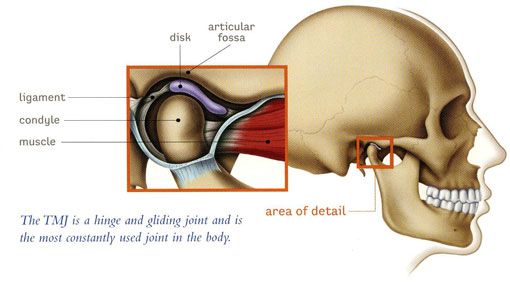 TMJ Therapy - illustration of skull